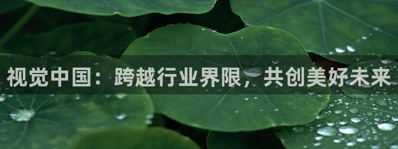 app小小影视：视觉中国：跨越行业界限，共创美好未来