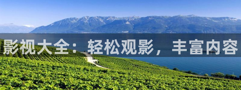 小小影视电视版本：影视大全：轻松观影，丰富内容