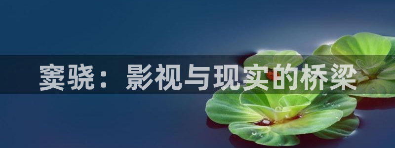 小小影视大全官网下载：窦骁：影视与现实的桥梁