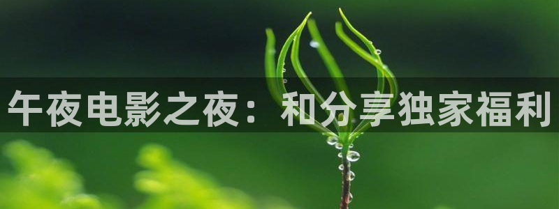 小小影视2024年旧版本：午夜电影之夜：和分享独家福利