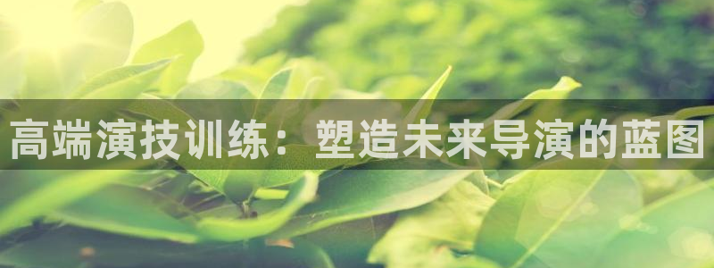 小小影视播放：高端演技训练：塑造未来导演的蓝图