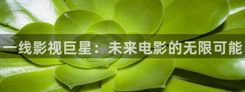 小小影视韩国电影免费看：一线影视巨星：未来电影的无限可能