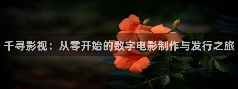 小小影视2024：千寻影视：从零开始的数字电影制作与发行之旅