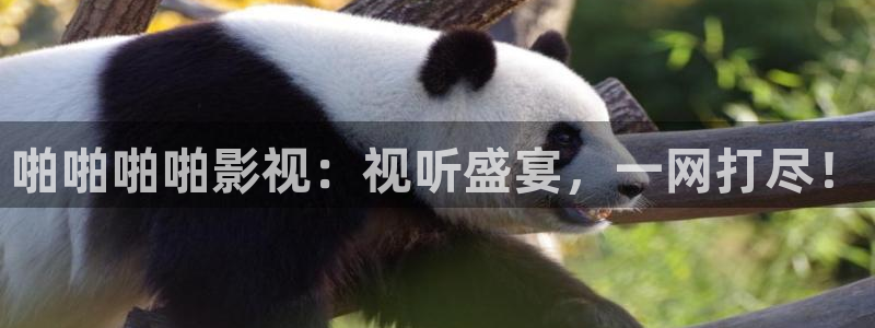 小小影视高清在线：啪啪啪啪影视：视听盛宴，一网打尽！