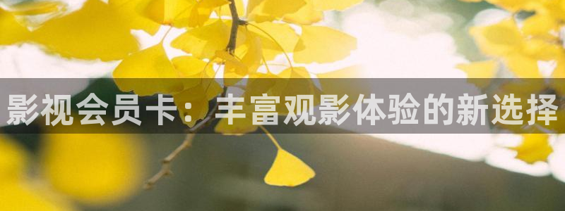 小小影视app旧版本：影视会员卡：丰富观影体验的新选择